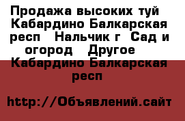 Продажа высоких туй - Кабардино-Балкарская респ., Нальчик г. Сад и огород » Другое   . Кабардино-Балкарская респ.